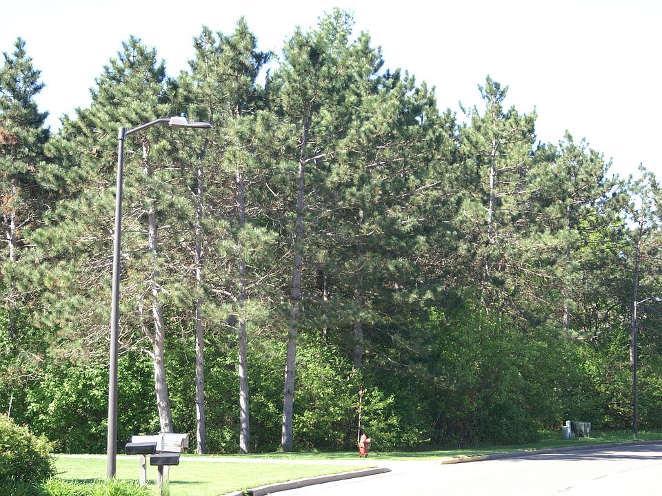 2nd image of 1233 Creekwood Dr