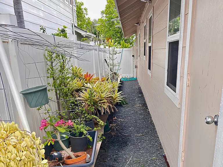Side of House 2