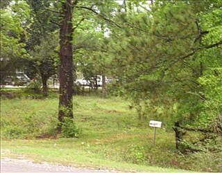 2nd image of 339 Highway 21