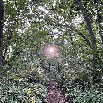 Rented by Queens Apartments Realty LLC | media 16