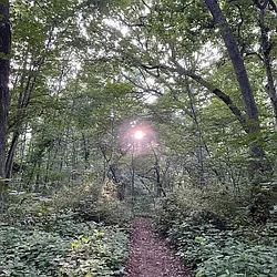 Rented by Queens Apartments Realty LLC