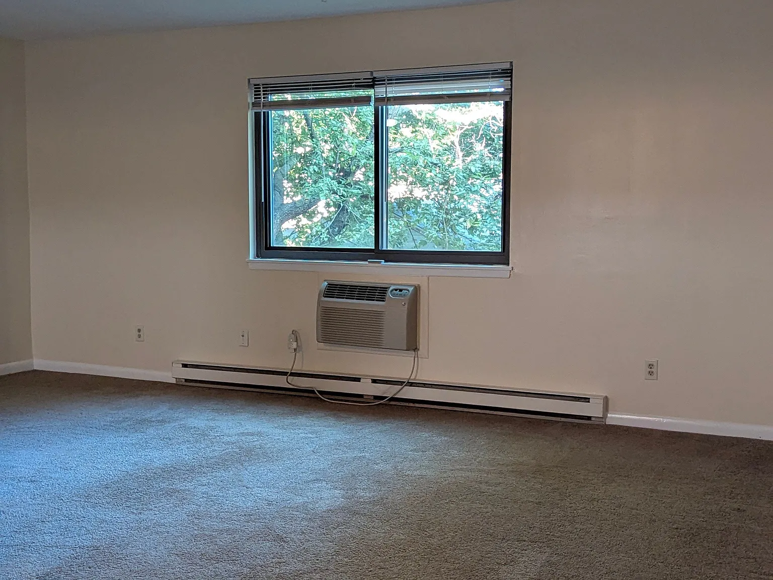 Cozy 1 Bedroom block from ocean — Photo 3
