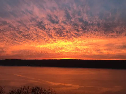 Sold by Douglas Elliman | media 23