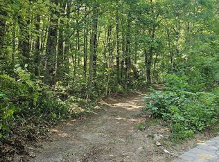 811 Eastside Duck Mountain Rd, Scaly Mountain, NC 28775