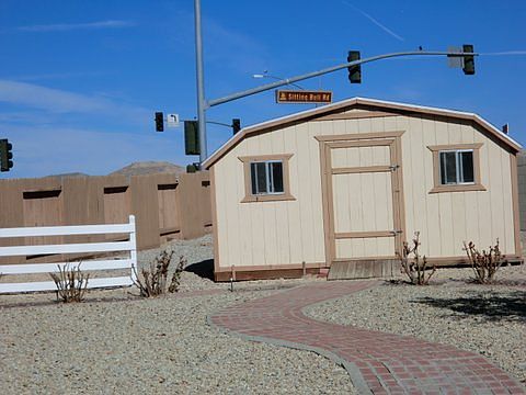 Shed in backyard