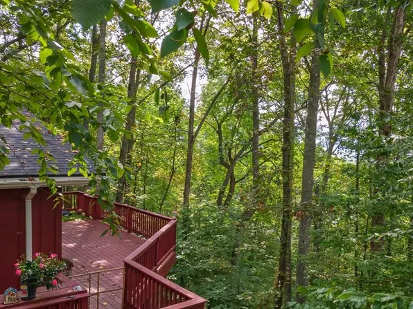 292 Indigo Ln, Franklin, NC 28734