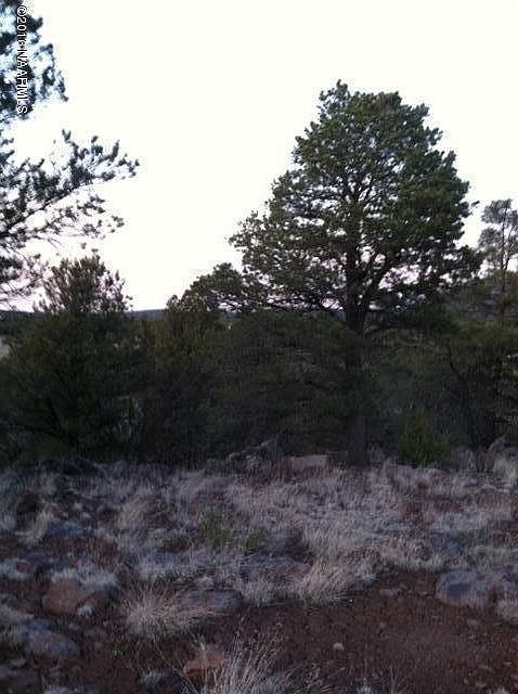 1st image of 1413 E Alimos Way