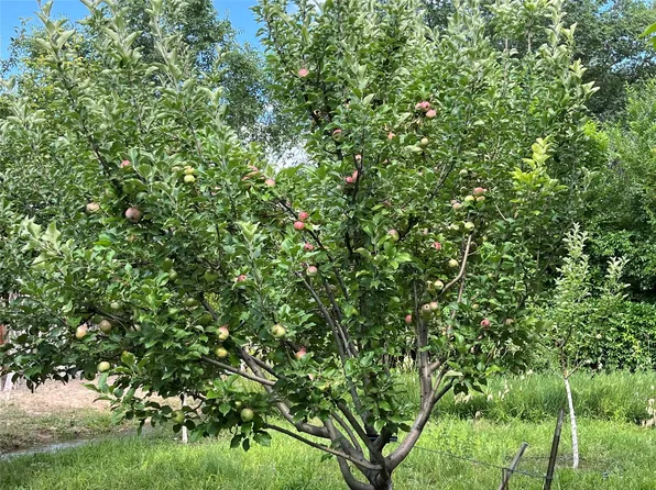 1123 Private Rd, Dixon, NM 87527