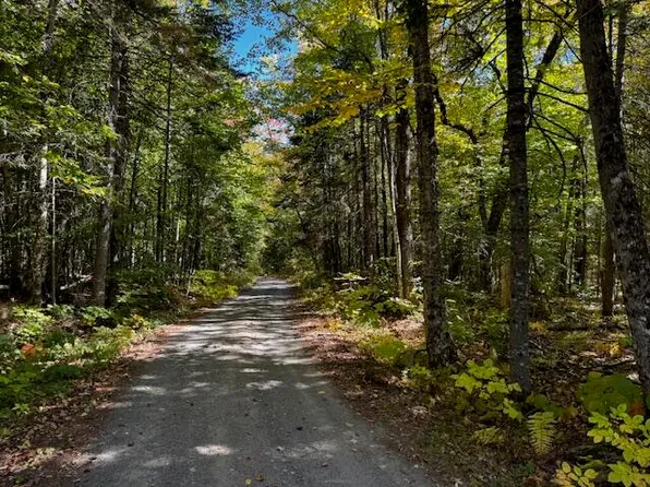 Map SO081 Plan 05 Lot 10.1 Daniel Road, Concord Twp, ME 04920