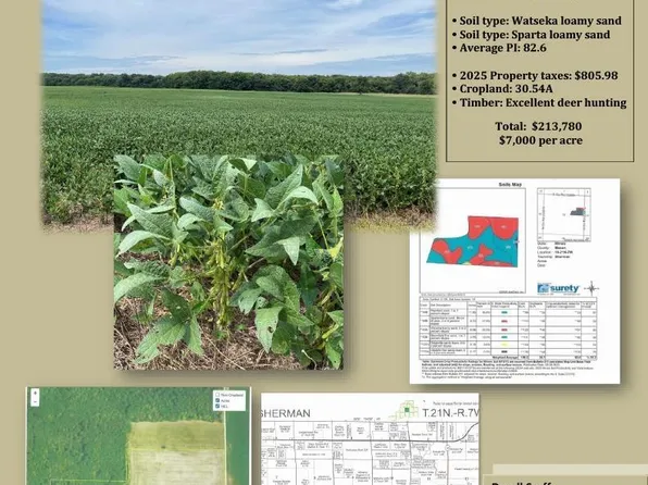 0 N County Road 2300 E, Easton, IL 62633