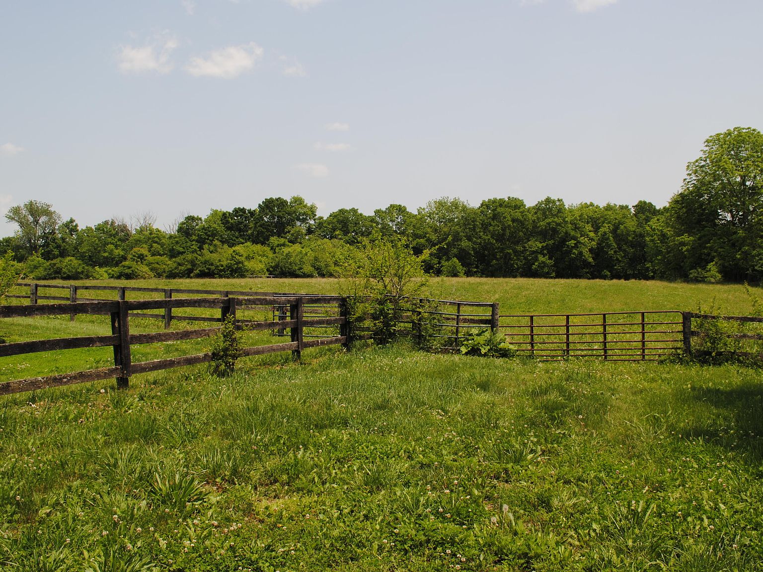 1312 Ruddles Mill Rd, Paris, KY 40361 MLS 23009688 Zillow