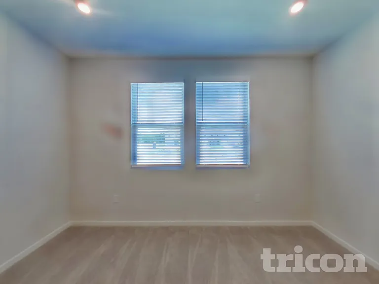 64 Brazil Nut Cir — Photo 8