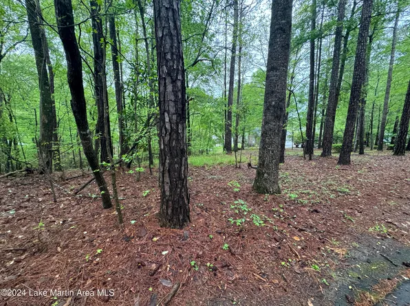 54 Chinquapin Ct, Dadeville, AL 36853