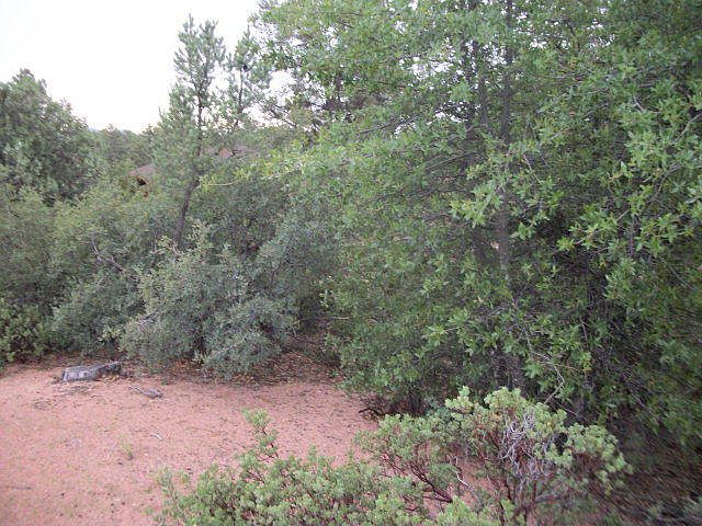 2nd image of 109 N Feather Plume Cir