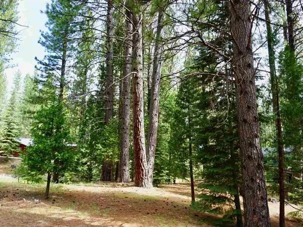 16 Sioux Trl, Graeagle, CA 96103
