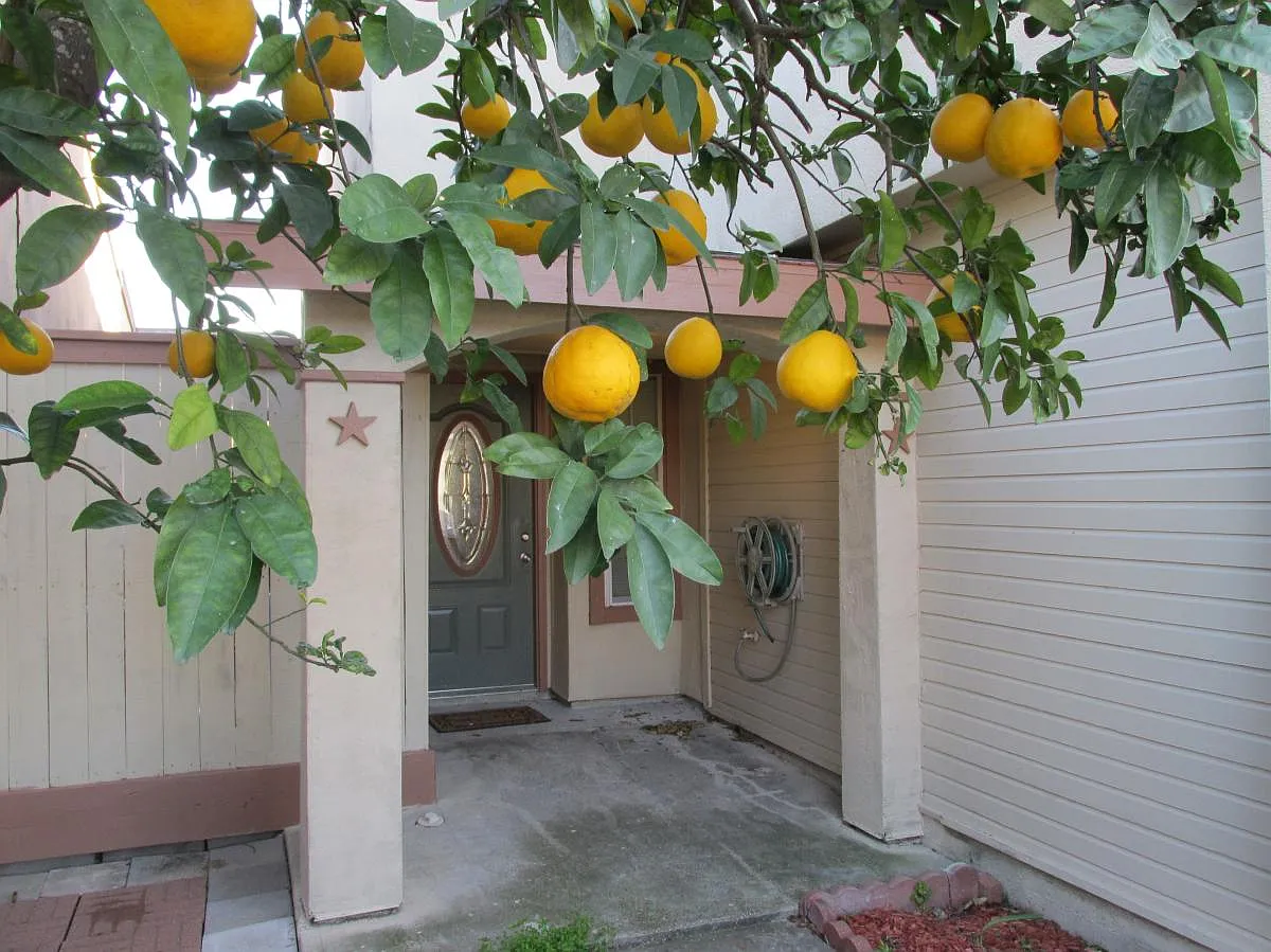 3 bed, 1364 sqft, $1,700 — Photo 2