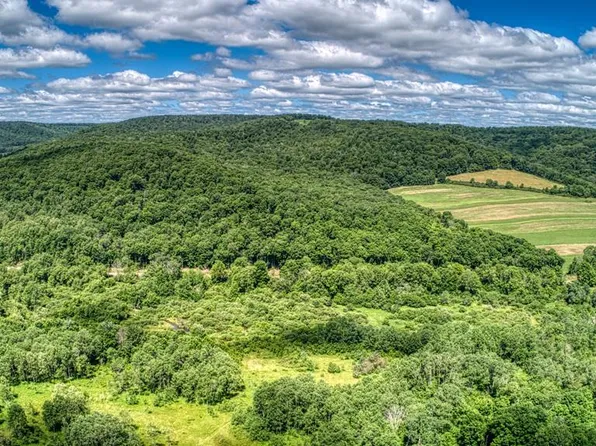 0 Ellisburg Rd, Genesee, PA 16923