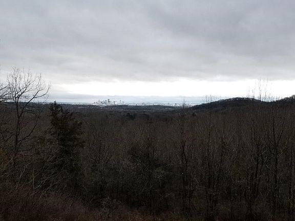 NOTE: This pic is from a clearing 2 properties down street and 65 feet higher elevation.