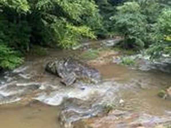 0 Mount Zion Rd, Deep Gap, NC 28618