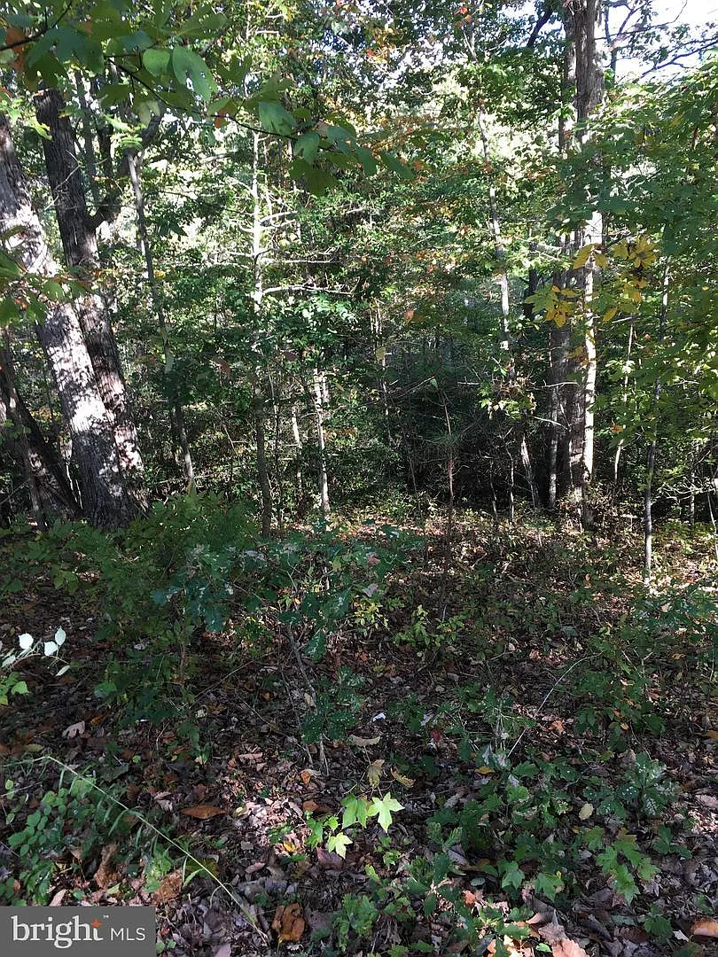 4812 Whitfield Chapel Rd photo 1