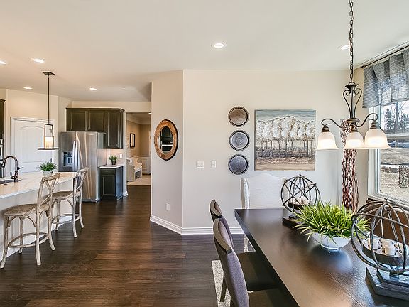 Model Representation