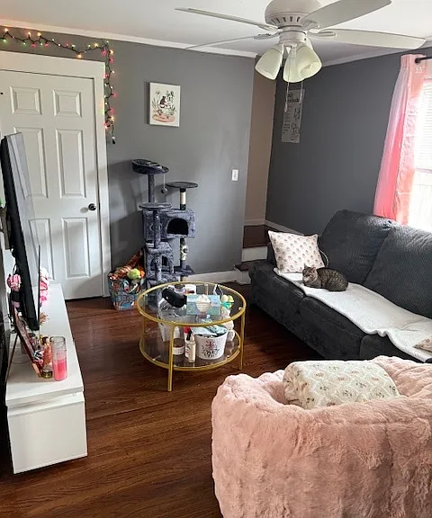 8 High Ridge Dr — Photo 6