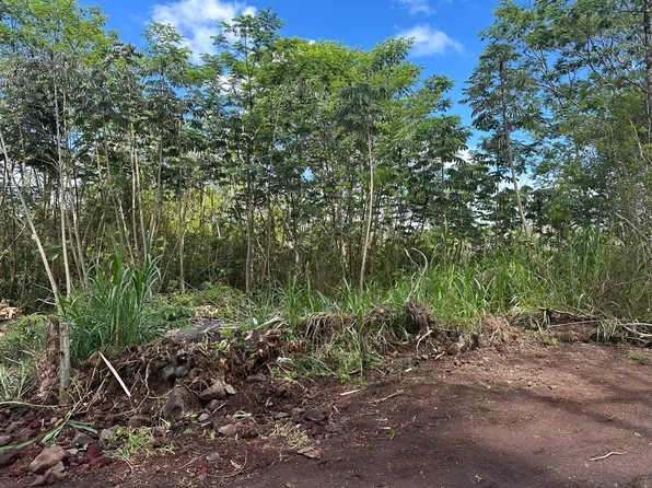 King Kamehameha Blvd Lot 6, Keaau, HI 96749