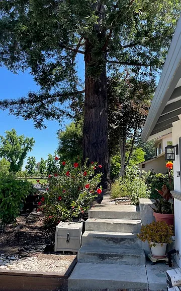 1240 Oak Knoll Dr — Photo 10