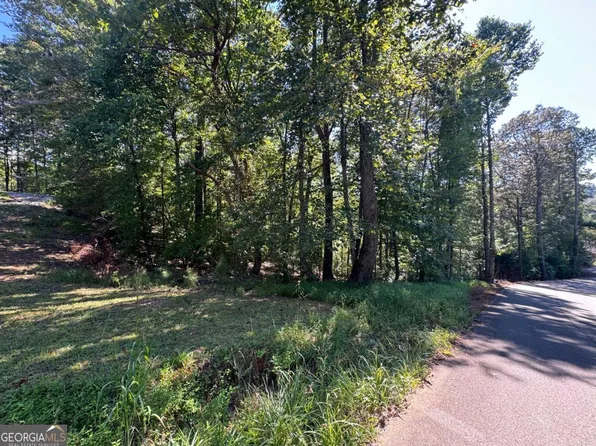 Mango Ln #732-733, Ellijay, GA 30540