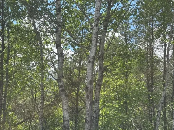 On Cth #Y-lot 4, Nekoosa, WI 54457