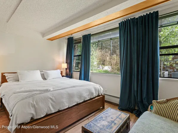 1007 Vine St, Aspen, CO 81611