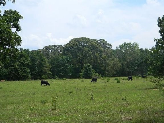 2nd image of 6161 Us Highway 175 W