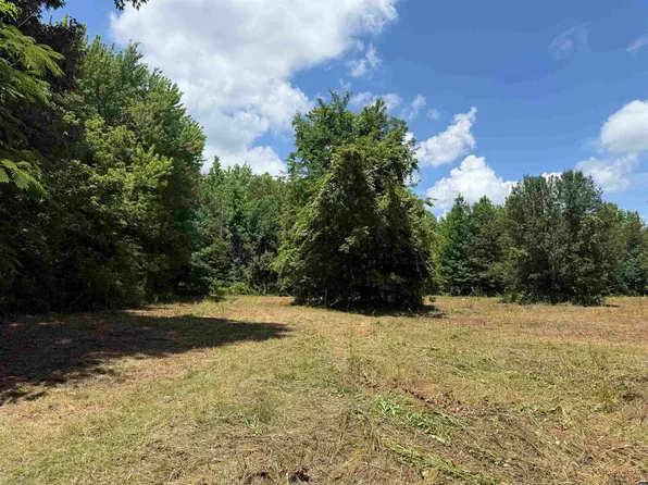 15 Walnut Street Ext, Dyer, TN 38330