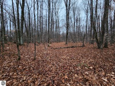 0 Woodline Rd NW, Rapid City, MI, 49676