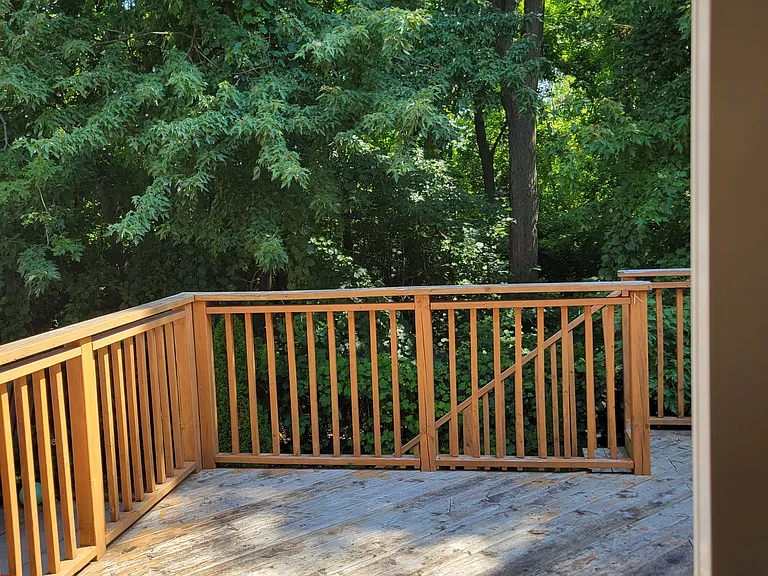 3784 Forest Bluff Cres — Photo 13