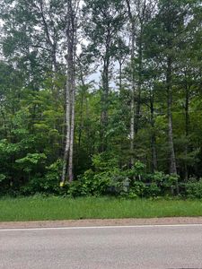 11335 N Saint Helen Rd, Roscommon, MI, 48653