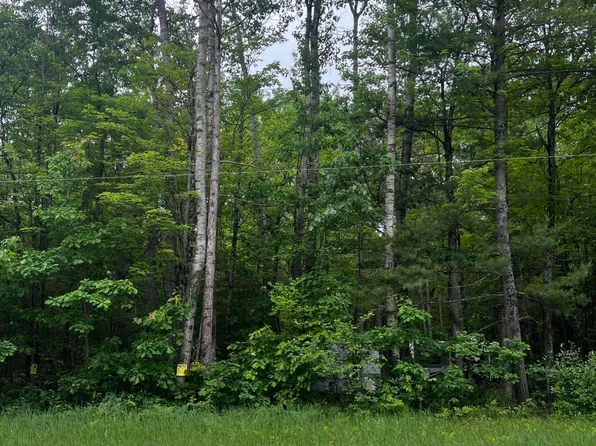 L163-165 N Saint Helen Rd, Roscommon, MI 48653