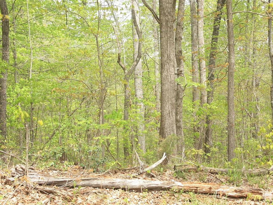 2nd image of 9999 Union Hill Rd