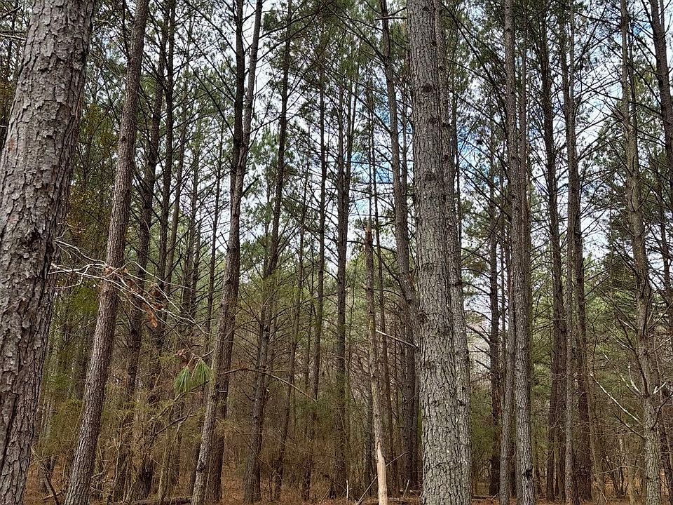 2nd image of 556 Benton Rd