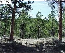 2nd image of 303 Old State Highway 7