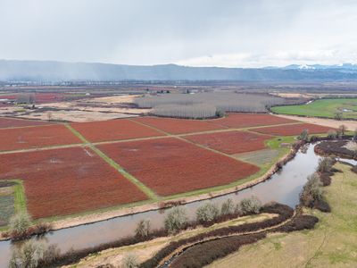 78384 Collins Rd, Clatskanie, OR, 97016