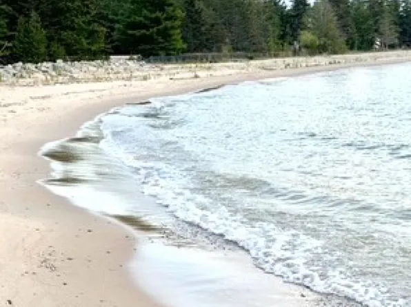 7970 N Pointe Shores Dr, Alpena, MI 49707