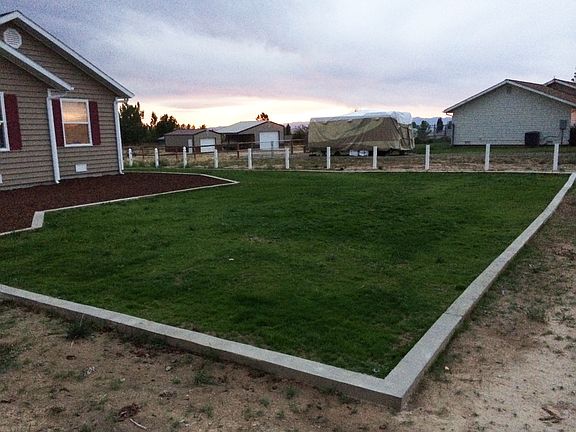 Newly planted grass in front