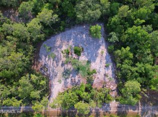 121 Stella Rd, Georgetown, FL 32139