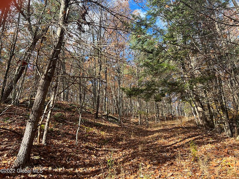 3rd image of L26 Brownell Hollow Rd