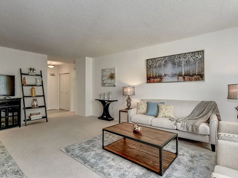 Multiple Interior Styles to Choose From, including Brand New Renovations