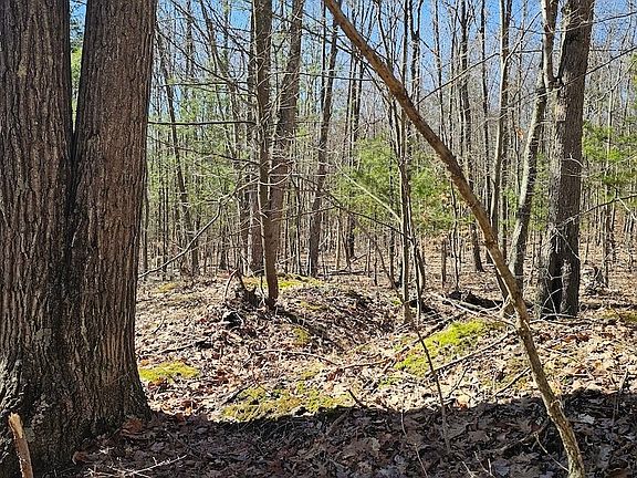 3rd image of S Hill Rd