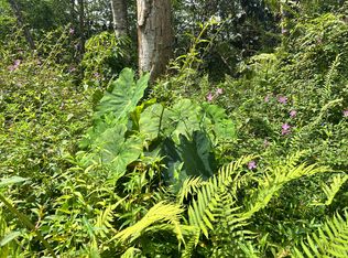Maui Rd Lot 447, Pahoa, HI 96778