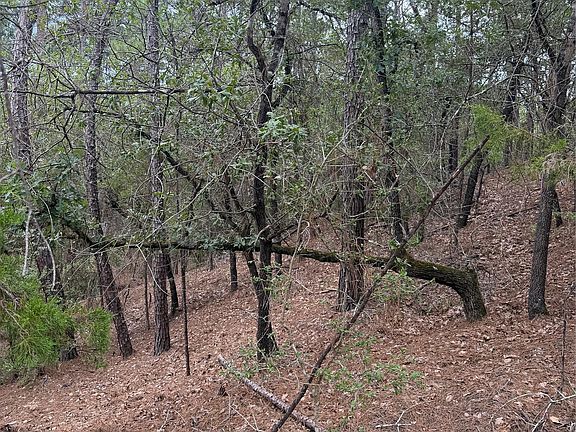 3rd image of LOT 213 Hekili Dr