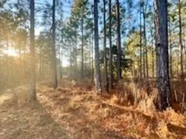 2990 Lee Rd, Arabi, GA 31712